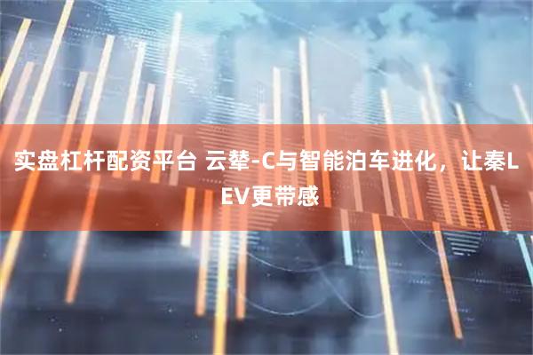 实盘杠杆配资平台 云辇-C与智能泊车进化，让秦L EV更带感
