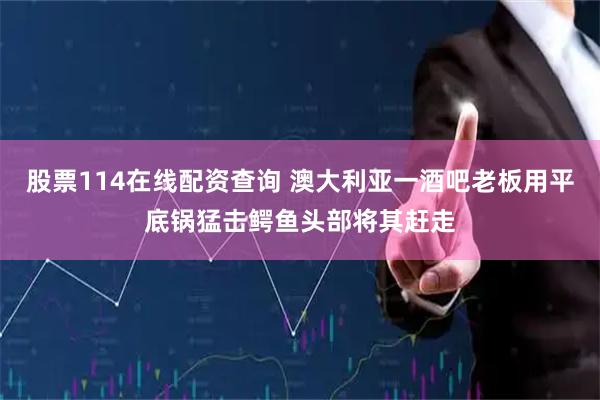 股票114在线配资查询 澳大利亚一酒吧老板用平底锅猛击鳄鱼头部将其赶走